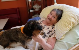 Käthe Boot Hund Dackel Besuchshund